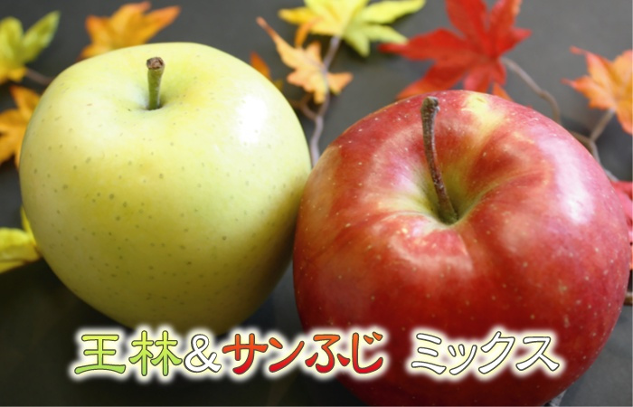 【11月下旬頃発送】青森 りんご 王林 ＆ サンふじ ミックス 家庭用 5C箱(約5kg:13～16個入)  一華ベジフル ふじ ふじりんご 蜜入り リンゴ 林檎 アップル 贈答 ギフト ３キロ 5キロ 10キロ 訳あり 糖度 青森産 青森県産 青森名産 2026 お歳暮【送料無料】