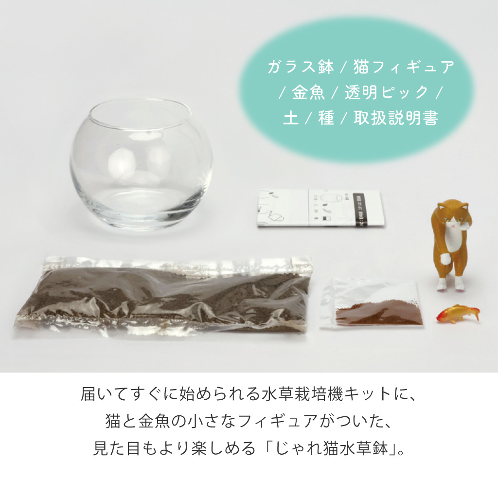 じゃれ猫水草鉢 猫と楽しむミニアクアリウム水草栽培キット 鉢付き フィギュア付き 猫 ネコ ねこ 金魚 植物 グリーン スターターセット オブジェ 置物 おしゃれ インテリア 雑貨 ギフト プレゼント 男性 女性 誕生日 母の日 父の日 敬老の日 引越し祝い 新築祝い お祝 ラッピング対応 無料ラッピング