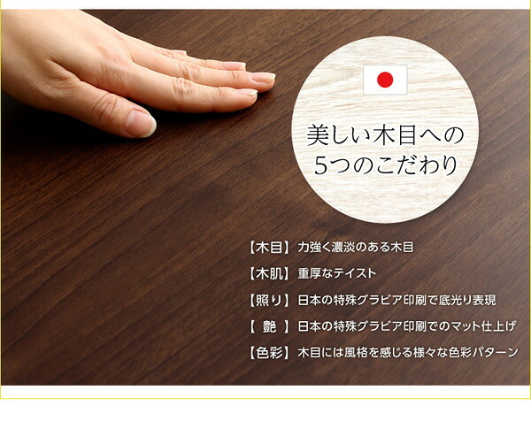 収納家具 ラック DEALS-ディールズ- フラップ扉1枚タイプ DS60-F1--WAL ウォールナット ホームテイスト ディスプレイ シリーズ 本棚 ブック フラップ フラップチェスト