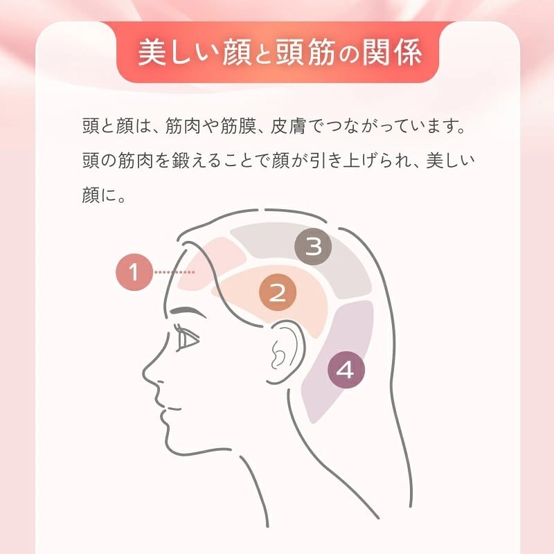 美顔器 EMS&RF リフトブラシボーテ EMS RF 頭皮ケア フェイスケア 全身ケア 防水 お風呂 バスタイム 赤色LED 光美容 顔 頭 デコルテ 二の腕 足 美容家電 女性 母 妻 誕生日 母の日 プレゼント 美容好き 実用的 ギフト