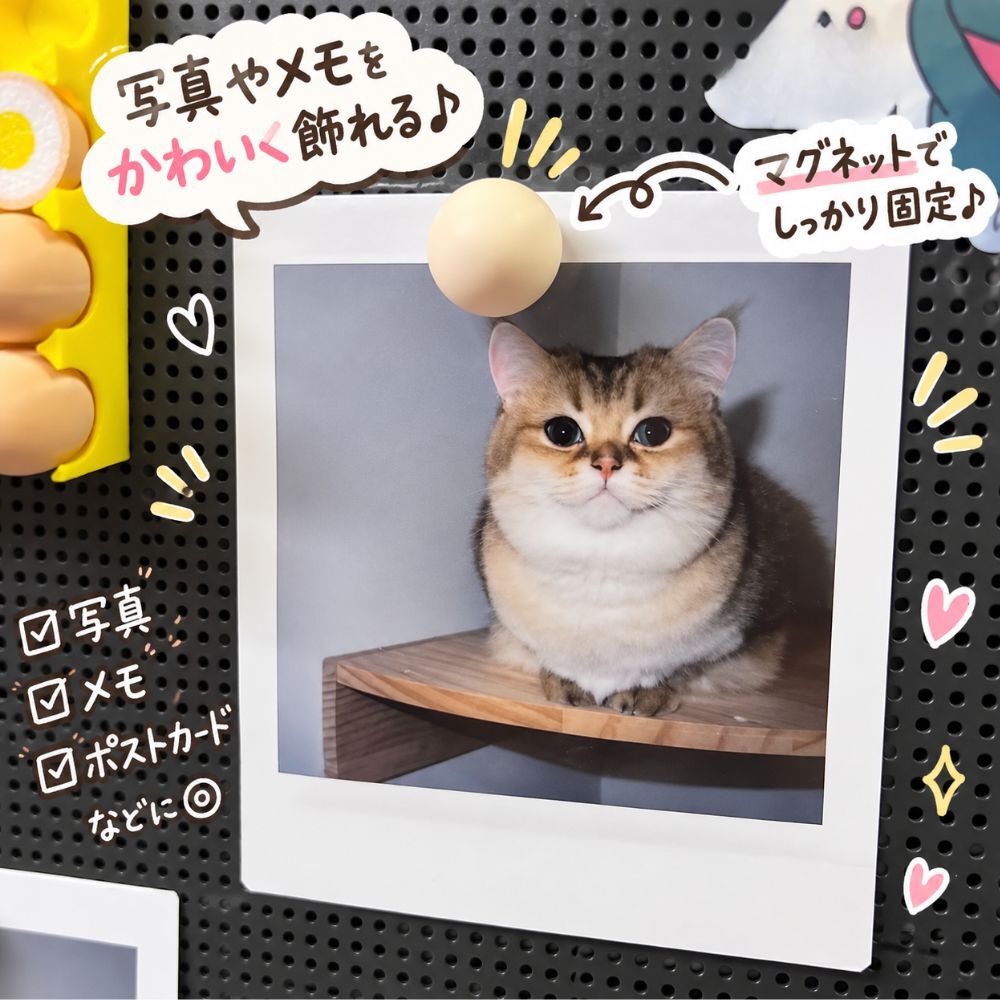 たまご マグネット 14個セット エッグトレー付き 12個 目玉焼き風 2個 冷蔵庫マグネット ミニチュア 食品サンプル風 かわいい おもしろ 雑貨 写真 メモ 固定 インテリア