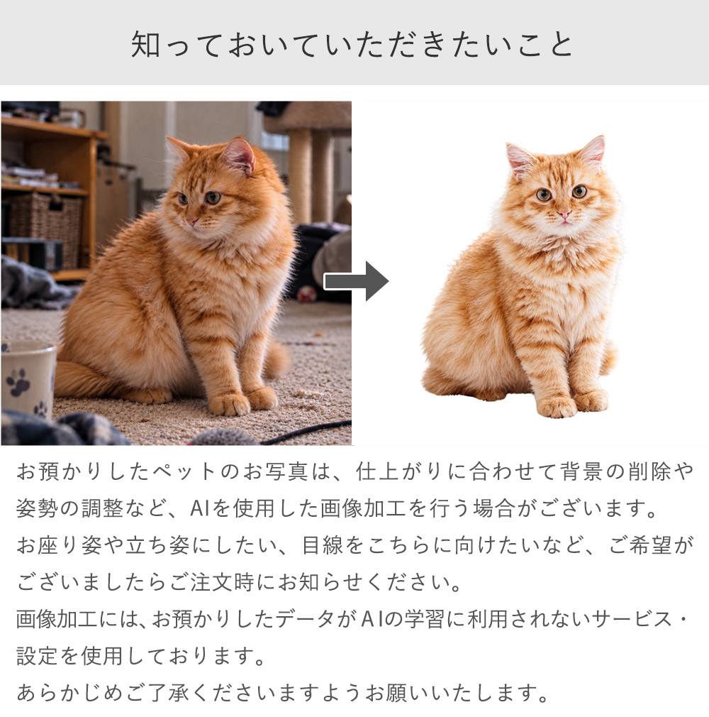 ペット メモリアル 写真入りアクリルスタンド うちの子メモリー | ペット供養 アクリルスタンド 写真入り 名入れ うちの子グッズ うちの子メモリアル メモリアルグッズ 犬 猫 うさぎ ペット仏具 ペット遺影 名入れ アクリル 写真 アクリル 命日 生年月日入り 虹の橋 お悔やみ