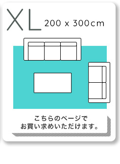 ラグ カーペット マイクロファイバー・デザイン マットXLサイズ（200×300cm）洗える マット 【WASHFA2】 新生活