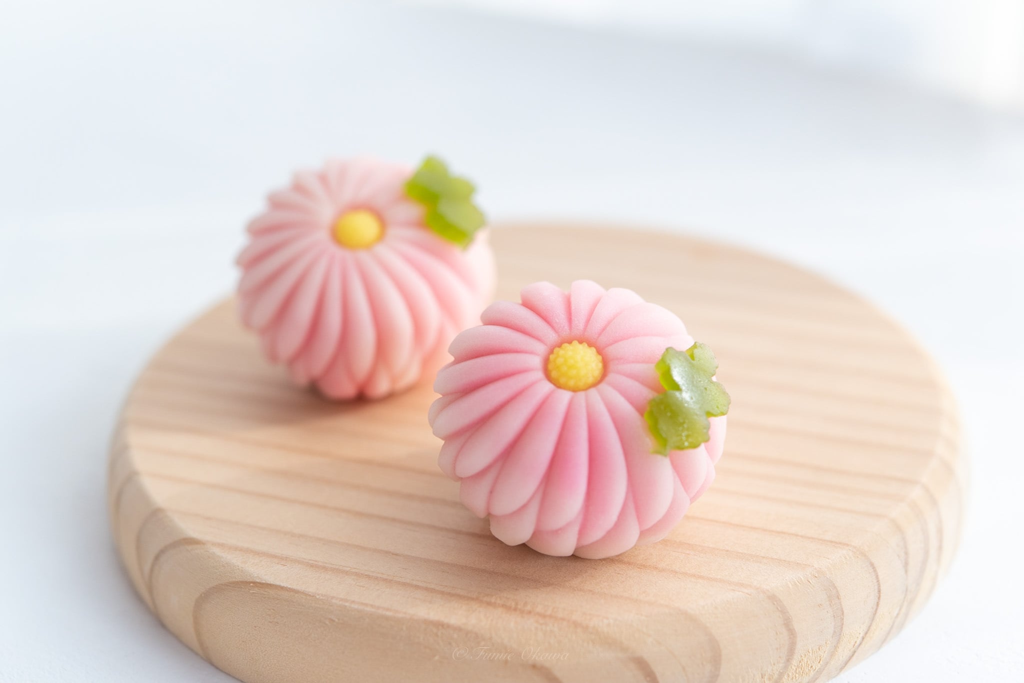 季節の上生菓子おまかせ6個セット【送料無料】 上生菓子 プレゼント 和菓子 ギフト お誕生日 御礼 御祝 贈答 お返し 練切 父の日 お中元