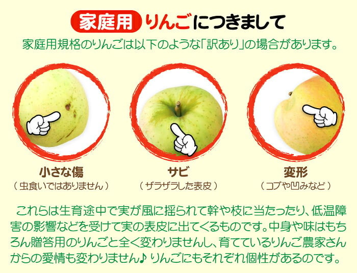 【11月中旬頃発送】一華ベジフル 青森 りんご 王林 (おうりん) 家庭用 3C箱(8～12個入) 一華ベジフル 青森 お土産 青森県産 果物 フルーツ 訳あり ランキング ギフト リンゴ 林檎 アップル 送料無料 お歳暮 2026