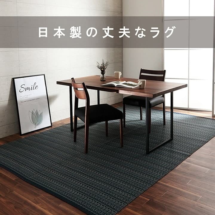 ラグ カーペット 洗える ダイニング 敷詰 丈夫 日本製 国産 除菌スプレー対応 アウトドア ペット 本間10畳（約477.5×382cm）