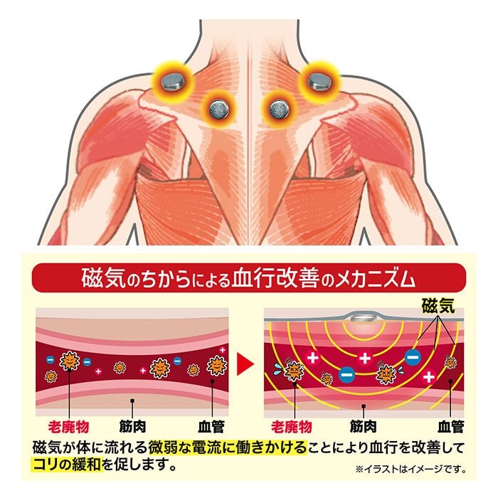 肩 サポーター 医療用 通販 日本製 管理医療機器 セルヴァン ネオジウム磁石 国産 冷房対策 ヘルスケアグッズ 背中サポーター インナー リラックスグッズ レディース メンズ シニア向け 磁気 肩あて