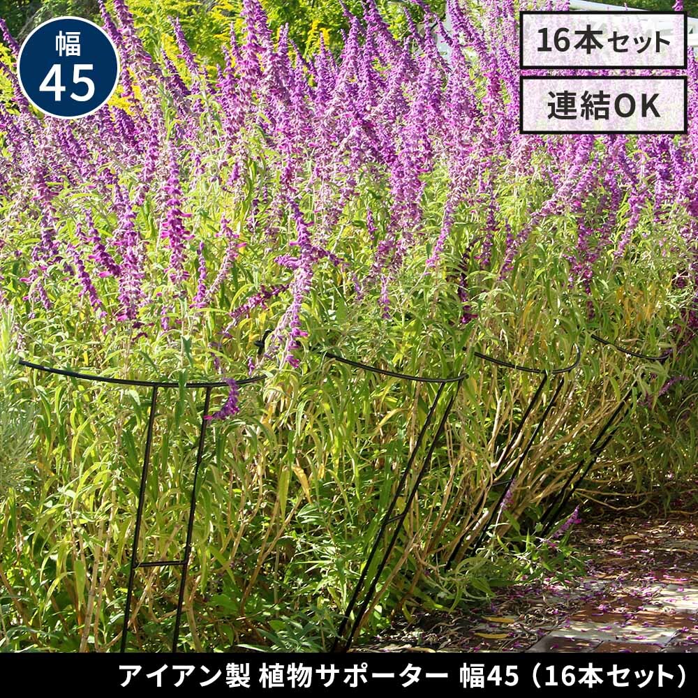 アイアン製植物サポーター 幅45 16本セット IF-N0047-16P奥行23 高さ85 ハーフリング 倒れ防止 広がり抑制 スチール 鉄製 支柱 園芸 植物サポート フラワーサポート 菜園 花壇