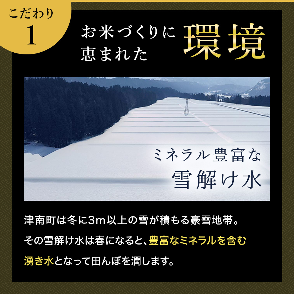 令和8年産 新米 魚沼産コシヒカリ 2kg 贈答用 風呂敷包み 最高級 最高金賞 金賞受賞 「雪椿」 ブランド米 ミシュラン店御用達 贈答用 新潟県産 令和6年産 最高級米 特別栽培米 お米 ギフト 内祝い 御歳暮 結婚内祝い 御誕生日御祝 新築祝い 法事 のし 熨斗対応 希少米