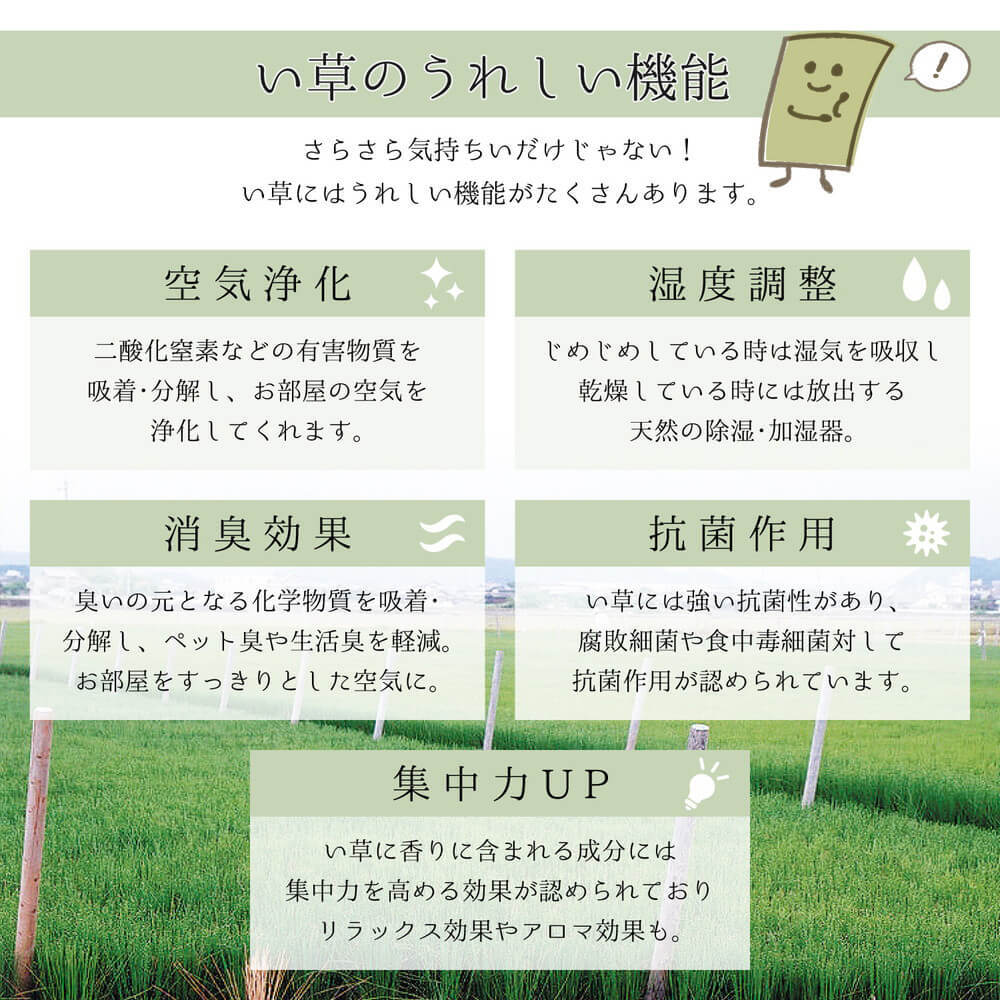 国産い草ラグ １９１ｃｍ ２５０ｃｍ い草 い草マット 畳マット ラグマット いぐさ いぐさマット イグサマット イグサ 和風 たたみ リビング おしゃれ シンプル ナチュラル ナチュラル シンプル 北欧 レトロ 西海岸 ミッドセン