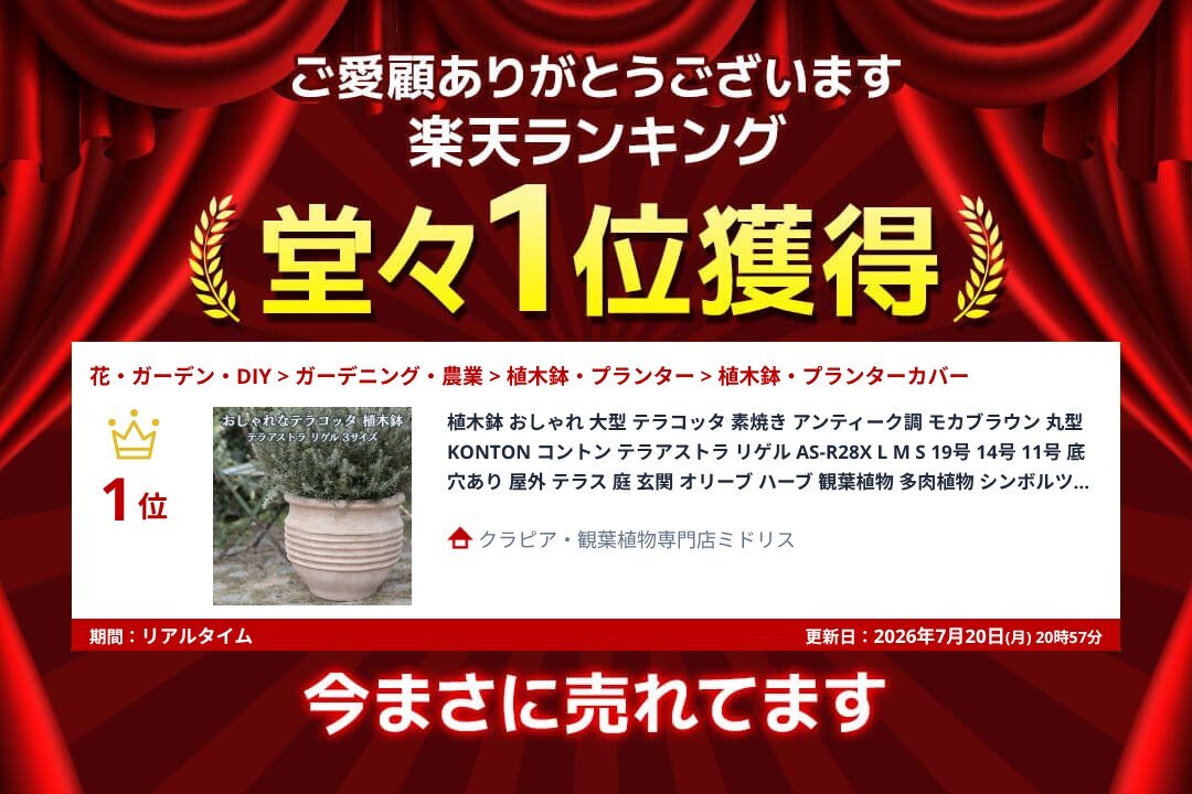 植木鉢 おしゃれ 大型 テラコッタ 素焼き アンティーク調 モカブラウン 丸型 KONTON コントン テラアストラ リゲル AS-R28X L M S 19号 14号 11号 底穴あり 屋外 テラス 庭 玄関 オリーブ ハーブ 観葉植物 多肉植物 シンボルツリー 大型プランター