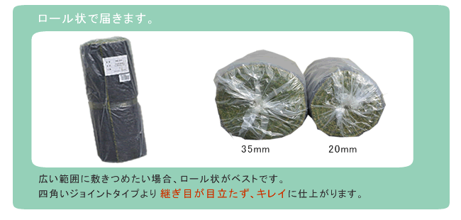 ガーデン エクステリア ロール人工芝 芝丈20mm 幅１×長さ10m SST-FME-2010 送料無料 ロールタイプ リアル 屋上緑化 ベランダ 庭 屋外 グリーンターフ ターフ