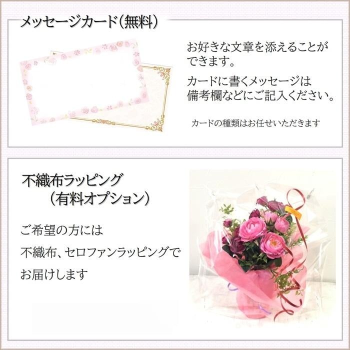 マジカルウォーターアレンジ 桜　さくら　　光触媒 　母の日　ギフト　プレゼント　疑似水