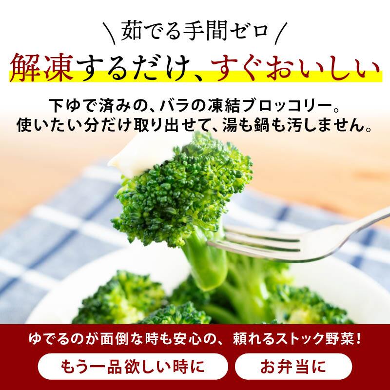冷凍ブロッコリー 1.5kg (500gx3) エクアドル産 M 加熱不要 解凍するだけ IQF バラ凍結 下ゆで済み 冷凍 冷凍野菜 カット野菜 時短 サラダ お弁当 業務用 まとめ買い 前田家 送料無料 MAEDAYA