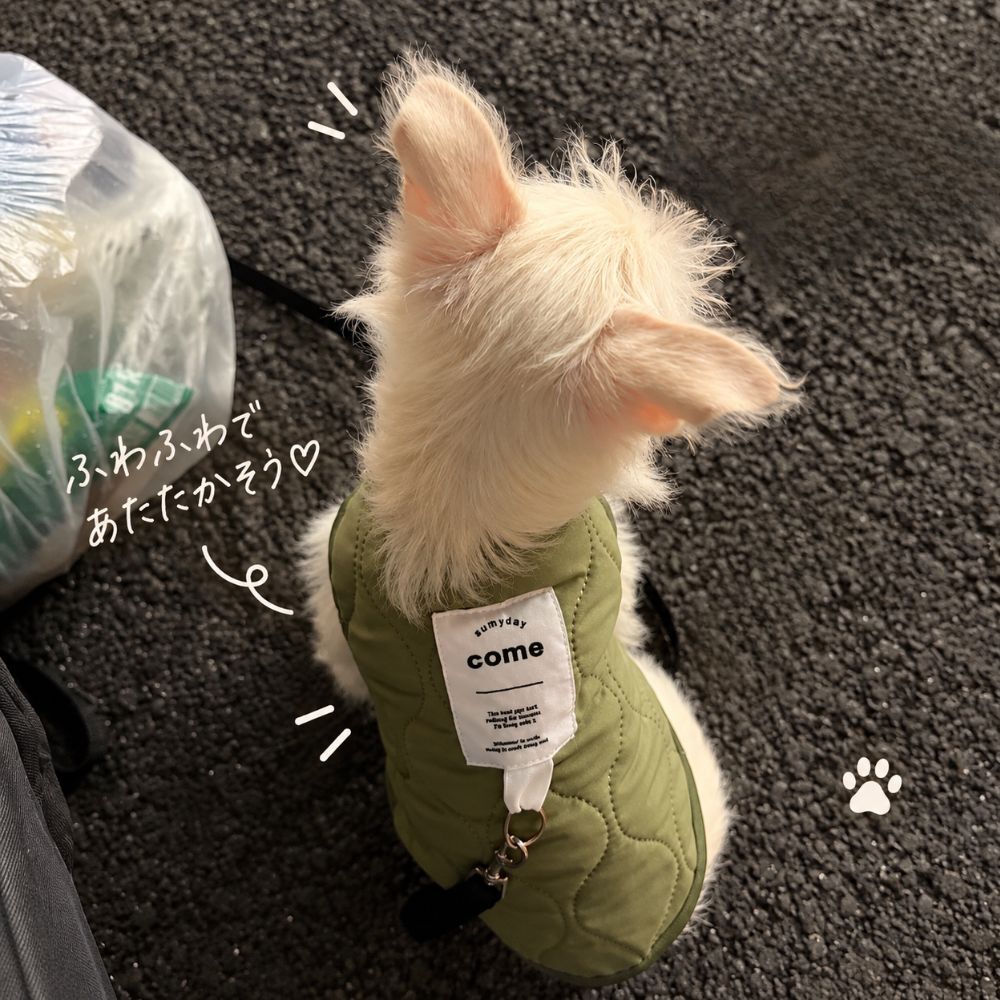 犬服 秋冬 犬用ベスト 防寒着 キルティング ボア 裏起毛 あったか ドッグウェア 小型犬 ペット服 袖なし スナップボタン 着脱簡単 おしゃれ かわいい 秋冬服 アイボリー カーキ S M L XL XXL コピー
