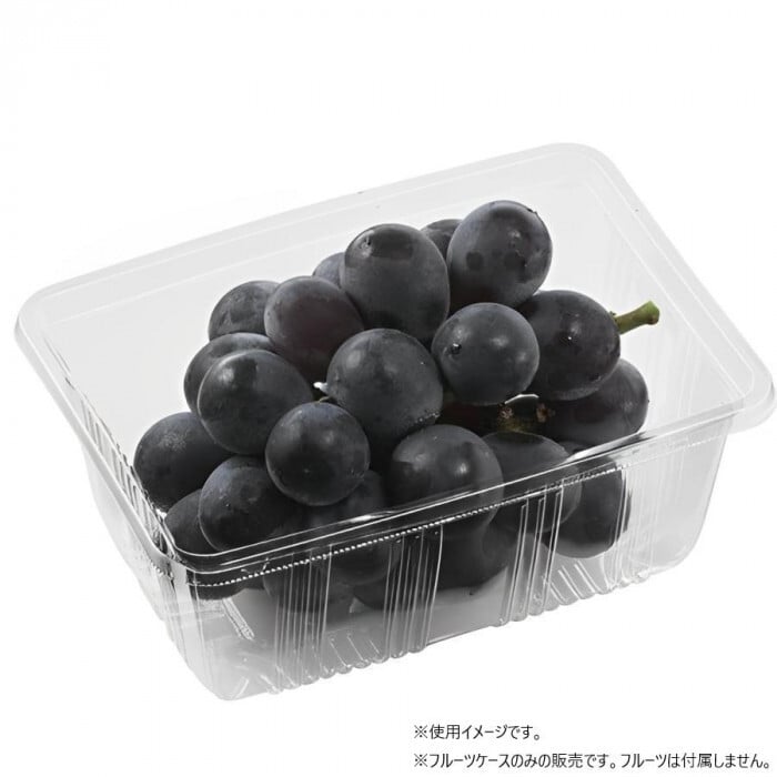 エフピコチューパ フルーツケース APフルーツ500 100枚入 透明容器 果物パック 苺 ぶどう 野菜 包装資材 業務用 保存容器 使い捨て プラスチック容器 172×122×70mm