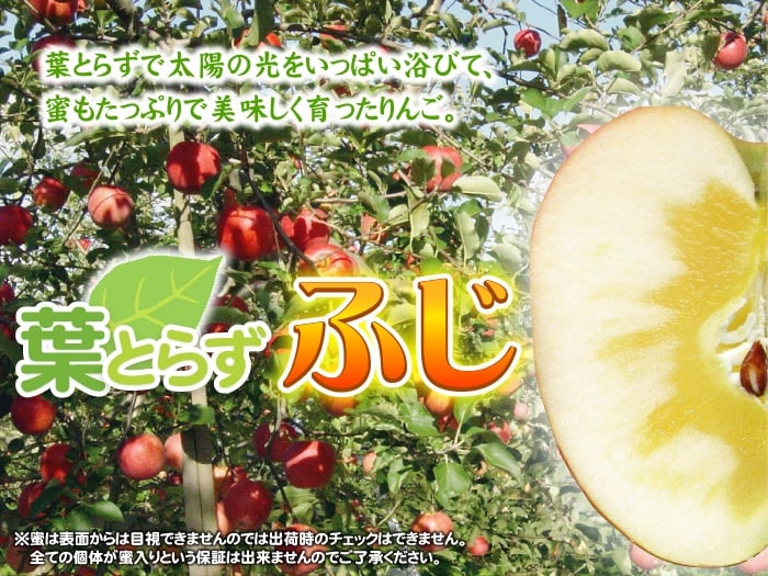 【11月中旬頃発送】一華ベジフル 送料無料 葉とらず サンふじ 家庭用 3C箱(3kg箱:約7～10個入) りんご 青森県産 蜜入りリンゴ 蜜入りりんご 訳あり 葉取らず 林檎 送料無料 ギフト 御歳暮 お歳暮 ギフト お試し フルーツ 果物 クリスマス お正月 2026