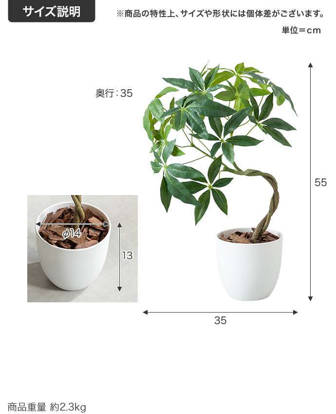 【高さ55cm】光触媒人工観葉植物 パキラ 幅35cm×奥行35cm×高さ55cm コンパクト 天然木 お部屋に気軽に飾れて空間を美しく彩るフェイクグリーン 本物の植物のようなリアルな質感とインテリアに馴染む風合いが魅力です
