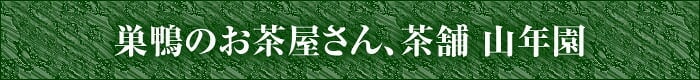【無農薬】カムカムパウダー 40g×10袋セット ペルー産 粉末 ノンカフェイン ビタミンC ヨーグルト スムージー 苗 サプリ 健康茶 妊婦 ダイエット セット ギフト プレゼント プチギフト お茶 敬老の日 2026 内祝い お返し