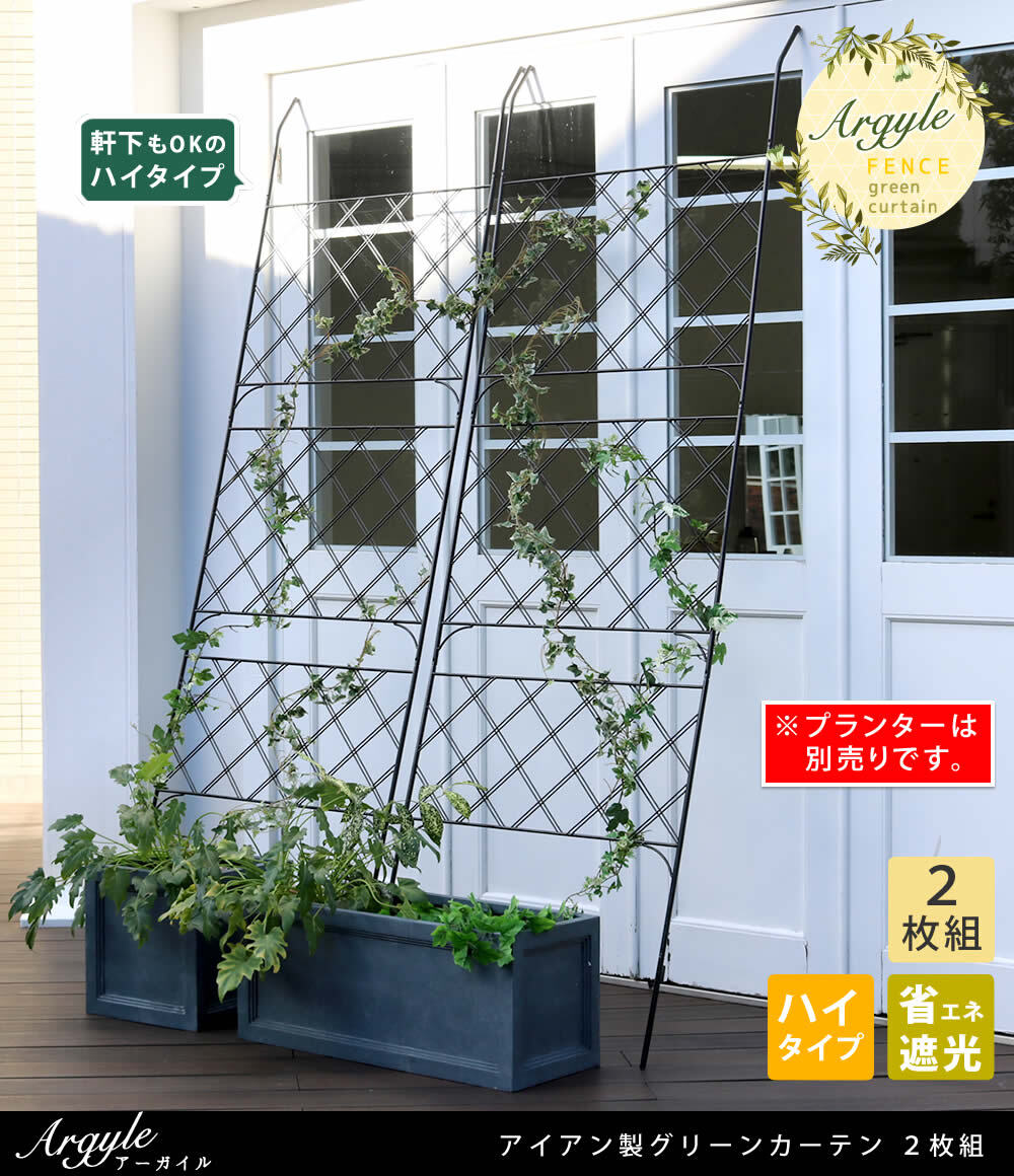 アイアンフェンス アイアン製グリーン アーガイル 2枚組 フェンス アイアン グリーンフェンス ゴーヤ 薔薇 バラ 朝顔 庭 ベランダ ガーデニング 枠 柵 仕切り 目隠し 境目 アンティーク トレリス 園芸 ラティス 屋外 ガーデンフェンス 庭用品 新生活