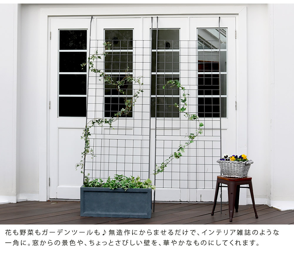 アイアンフェンス アイアン製グリーン グラフ フェンス アイアン グリーン ゴーヤ 薔薇 バラ 朝顔 庭 ベランダ ガーデニング 枠 柵 仕切り 目隠し 境目 アンティーク トレリス 園芸 ラティス 屋外 ガーデンフェンス 目隠しフェンス 園芸フェンス 新生活