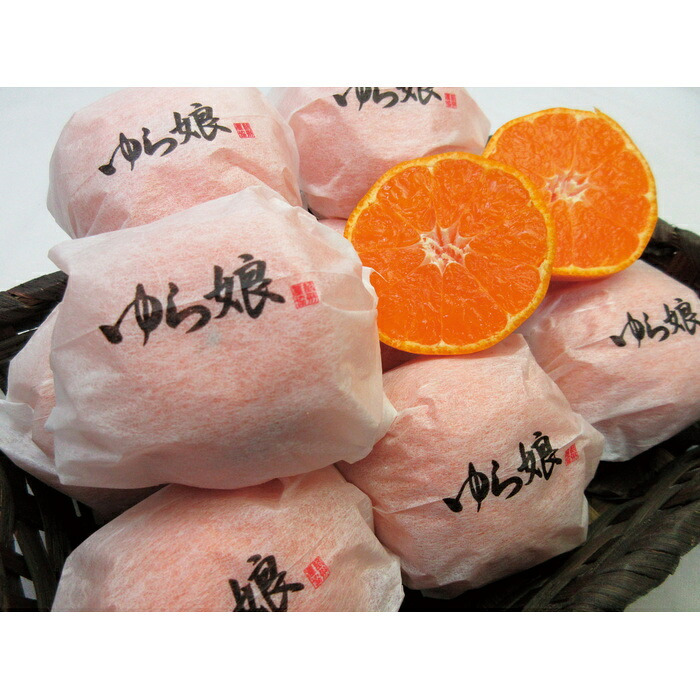 送料無料 お歳暮 和歌山産 ゆら娘  ※12月1日?12月25日出荷 北海道・沖縄・離島は配達不可 全国送料無料御中元ギフト早割お中元2026御中元御見舞お見舞いお取り寄せグルメスイーツ