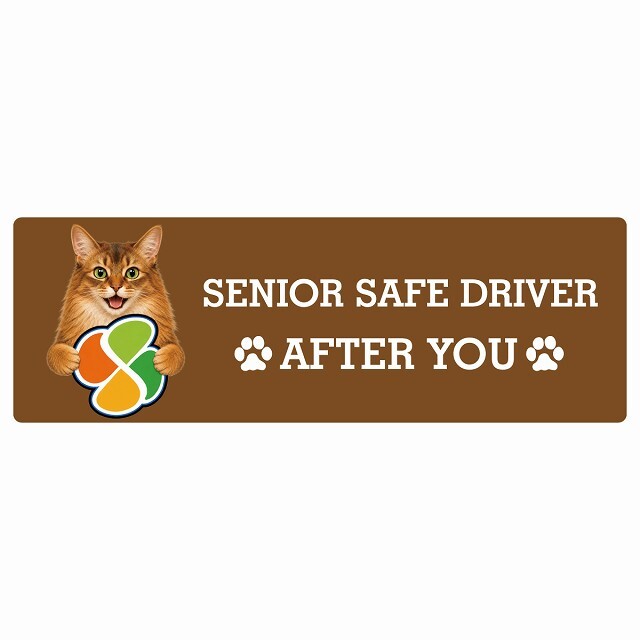 カーサイン 高齢者マーク SENIOR SAFE DRIVER ソマリ ステッカー シール 長方形 20x6.7cm 肉球 日本製 車
