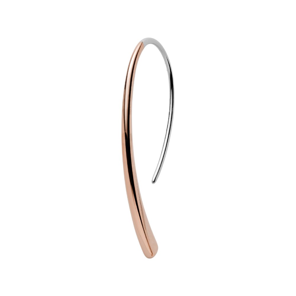 スカーゲン SKAGEN Kariana アクセサリー ピアス ゴールドトーン レディース SKJ1212998