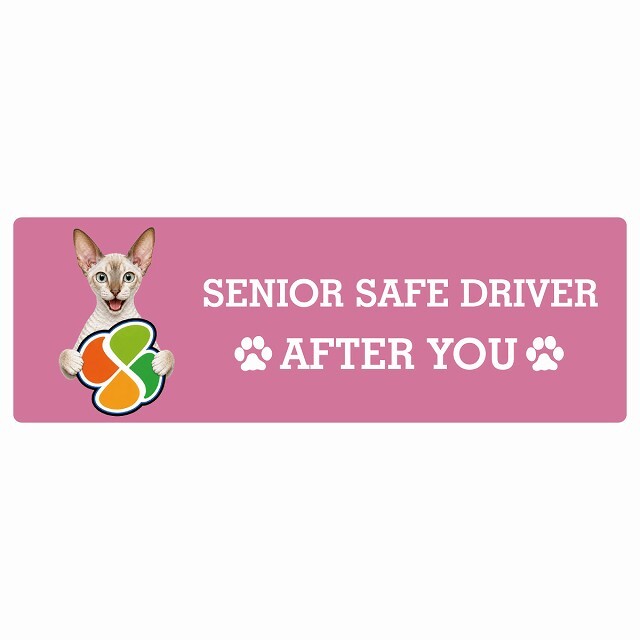 カーサイン 高齢者マーク SENIOR SAFE DRIVER コーニッシュレックス ステッカー シール 長方形 15x5cm 肉球 日本製 車