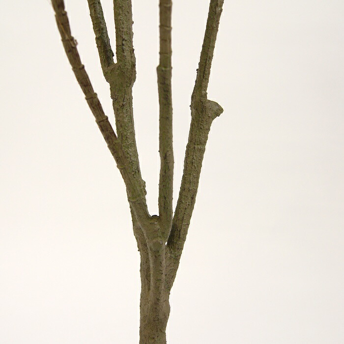 観葉植物 造花 ドラセナ ソングオブジャマイカ BROWN 全高約150cm 大型 フェイクグリーン 本物そっくり おしゃれ インテリア 人工観葉植物 アーティフィシャルグリーン オフィス 店舗 ホテル 開店祝い 室内 フェイク