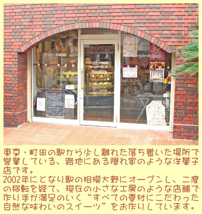 クリスマスマンゴーアイスケーキ【4～7号】 ［クリスマスケーキ クリスマスデコレーション クリスマスアイスケーキ］