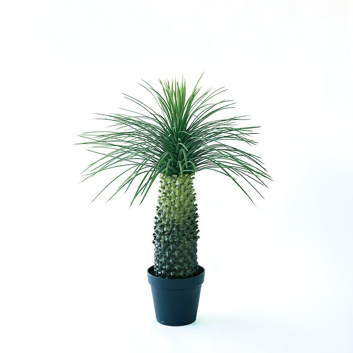 観葉植物 造花 ユッカ ロストラータ BROWN 全高約91cm 中型 フェイクグリーン 本物そっくり おしゃれ インテリア 人工観葉植物 アーティフィシャルグリーン オフィス 店舗 ホテル 開店祝い 室内 ブルー フェイク