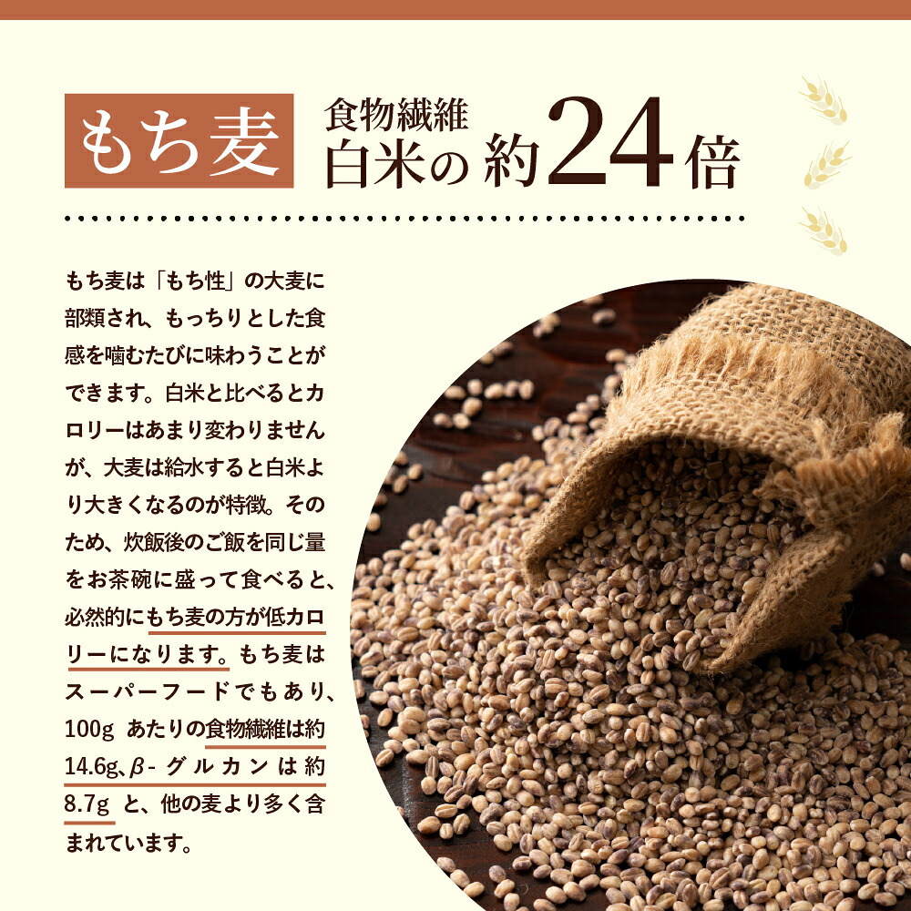 雑穀 雑穀米 国産 麦の恵み24穀米ブレンド【選べる800g~4kg】雑穀米本舗 [丸麦/押麦/はだか麦/もち麦/はとむぎ] 無添加 無着色 徳用サイズ 送料無料