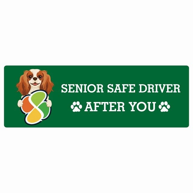 カーサイン 高齢者マーク SENIOR SAFE DRIVER キャバリアキングチャールズスパニエル ステッカー シール 長方形 20x6.7cm 肉球 日本製 車