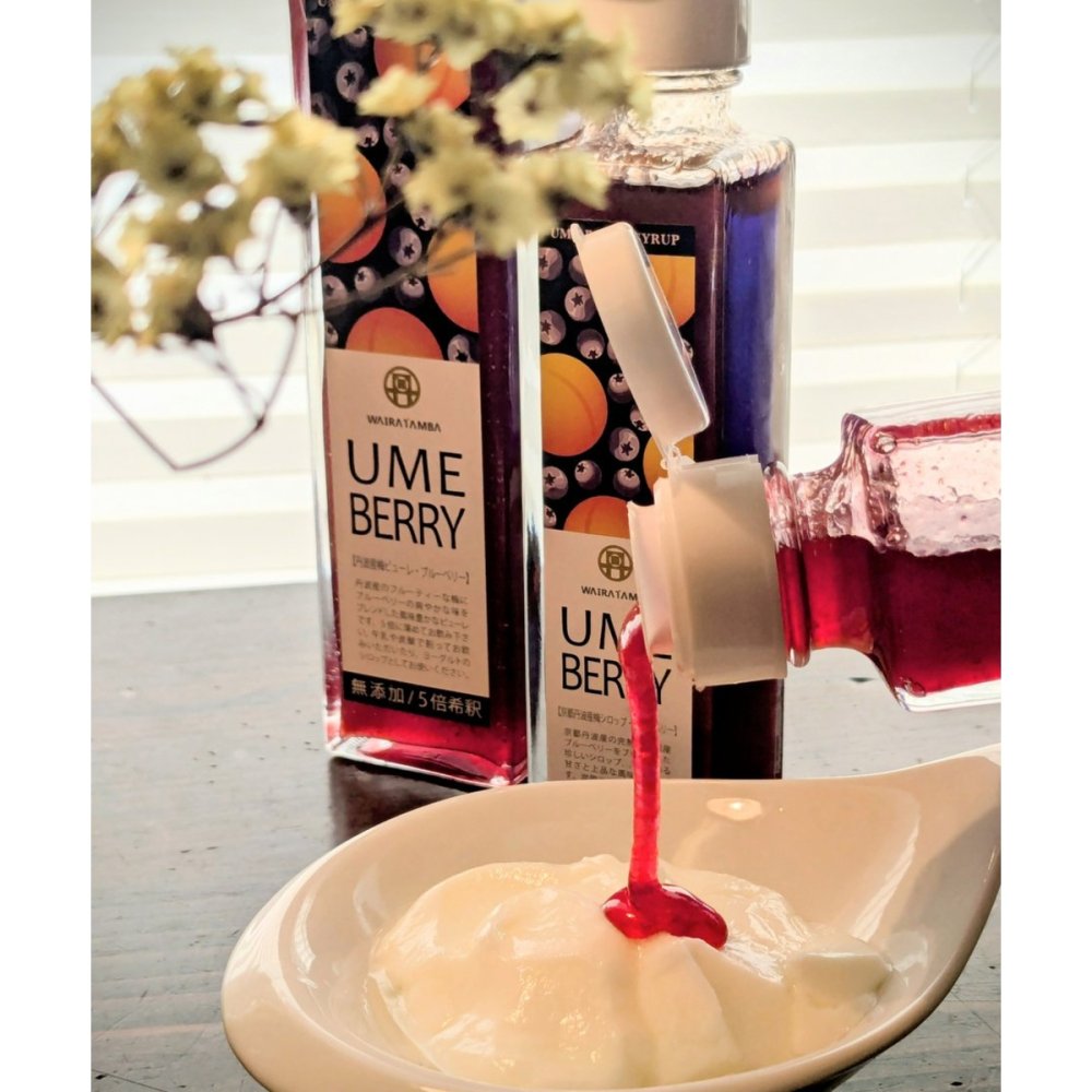 梅ピューレ３種セット(UME UME・YUZU UME・UME BERRY) 315ml×3本 ギフトセット ギフト プレゼント