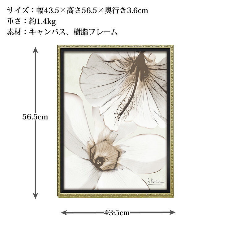 X RAY キャンバスアート フラワーズ パーパス M XR-12504 送料無料 アートフレーム 花 葉っぱ 葉 X線 絵画 アート インテリア