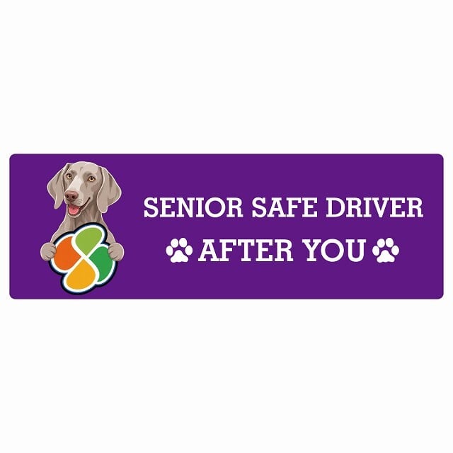 カーサイン 高齢者マーク SENIOR SAFE DRIVER ワイマラナー ステッカー シール 長方形 15x5cm 肉球 日本製 車