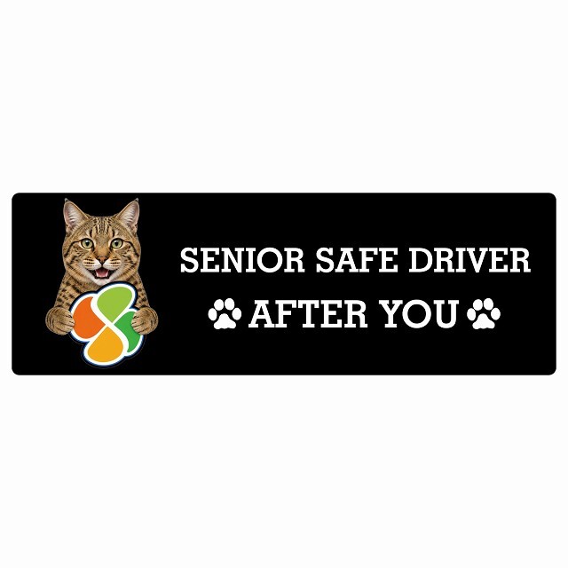 カーサイン 高齢者マーク SENIOR SAFE DRIVER ピクシーボブ ステッカー シール 長方形 15x5cm 肉球 日本製 車