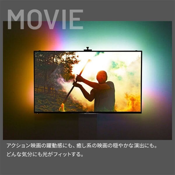 テレビ台 テレビボード シンクロビジュアルライト Mサイズ LED間接照明 シアターライト ホームシアター DVD鑑賞 調光 調色 部品 パーツ おしゃれ インテリアテレビスタンド 壁寄せ