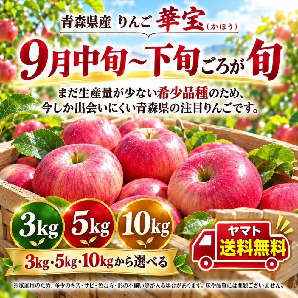 【新品種・希少】青森県産　りんご　家庭用　華宝（かほう）　大玉　10kg　24～40玉　送料無料！