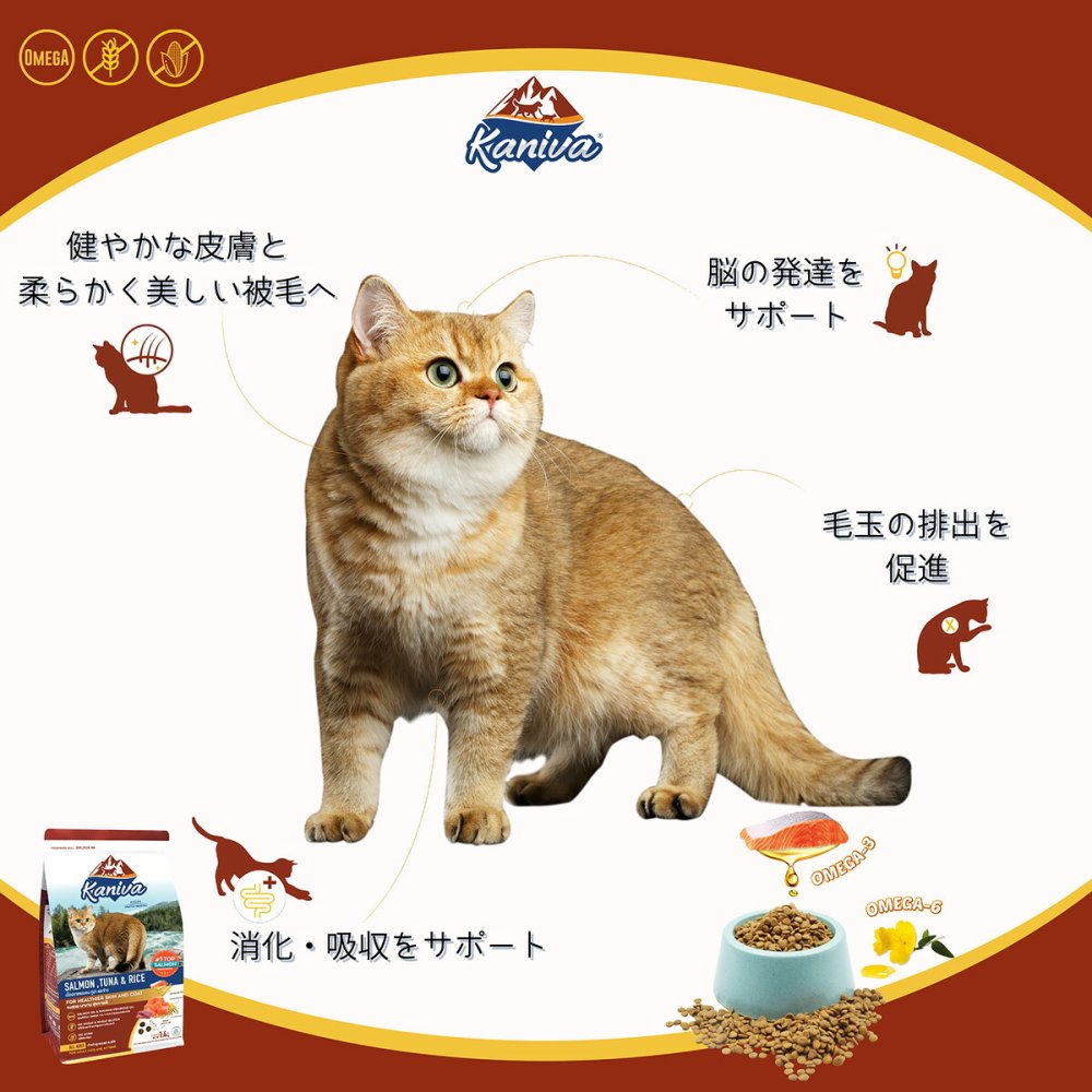 Kaniva カニワ サーモン ツナ＆ライス キャットフード 1.4kg×6個