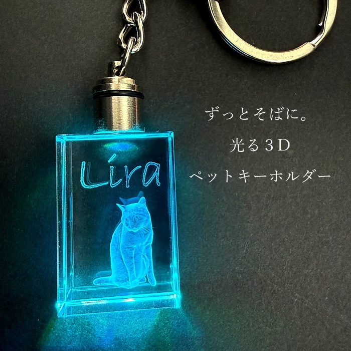 ３D彫刻 うちの子光るクリスタルキーホルダー　　犬 猫 ペット 立体 名入れ メモリアル オーダー ガラス ギフト プレゼント キレイ シンプル 透明 クリア 女性 男性