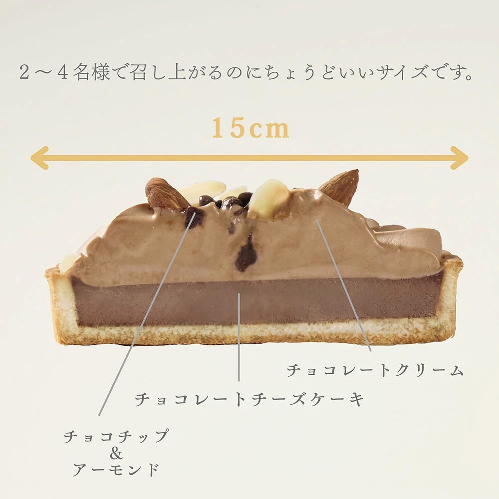 チョコレートナッツタルト 5号 直径15cm チョコタルト チョコレートタルト チョコ アーモンド チョコチップ 半熟チーズケーキ風 冷凍スイーツ 洋菓子 ケーキ ギフト お中元 お歳暮 内祝い クリスマス 誕生日 プレゼント お祝い 送料無料 ふじ食品