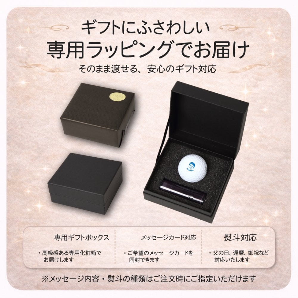 似顔絵 ゴルフボールスタンプ 名入れ 写真から作る オーダーメイド 選べる3種類の似顔絵タッチ ブルーインク マイボール 誤球防止 ゴルフ プレゼント 男性 女性 誕生日 還暦祝い 退職祝い 父の日 上司 ギフト