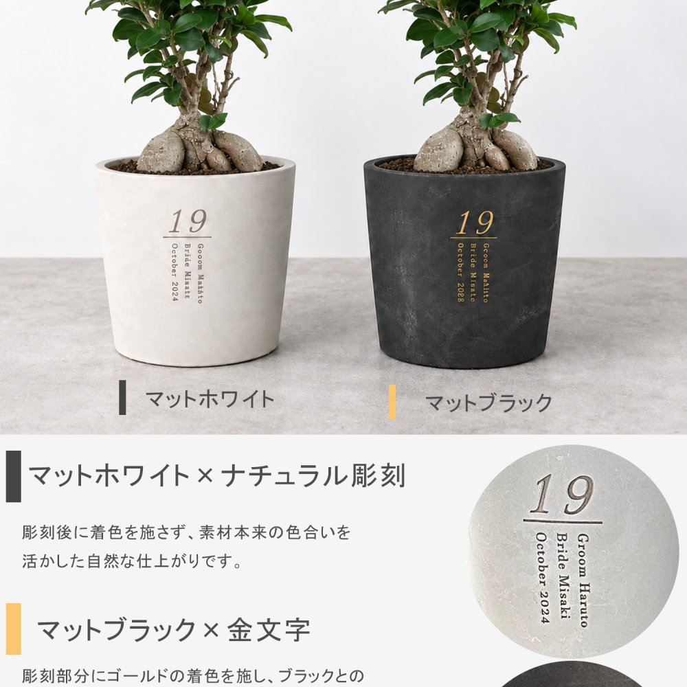 【植樹の儀オリーブ】送料無料// 結婚証明書 名入れ ゲスト参加型 植樹の儀 植樹セレモニー オリーブ植樹 オリーブの樹 記念樹  ウェディング 結婚式 ウェルカムスペース 結婚式準備 プレ花嫁 結婚式演出 観葉植物 おしゃれ