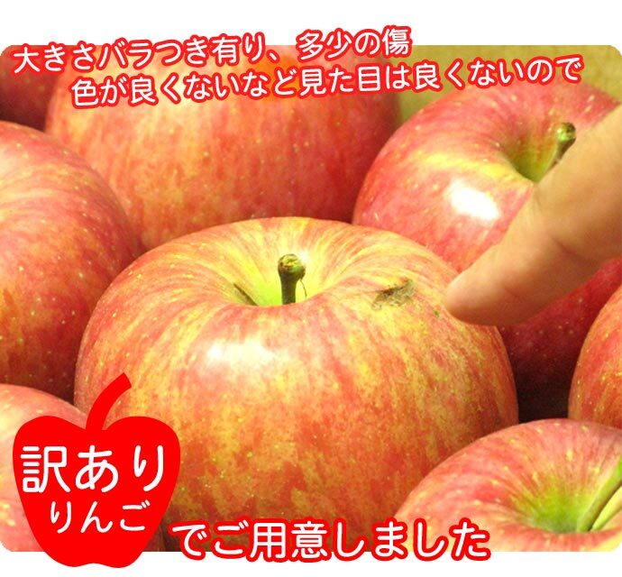 青森りんご 9kg 訳あり 送料無料 福袋 北海道産 青森産 リンゴ ※沖縄は送料別途加算 到着日指定不可