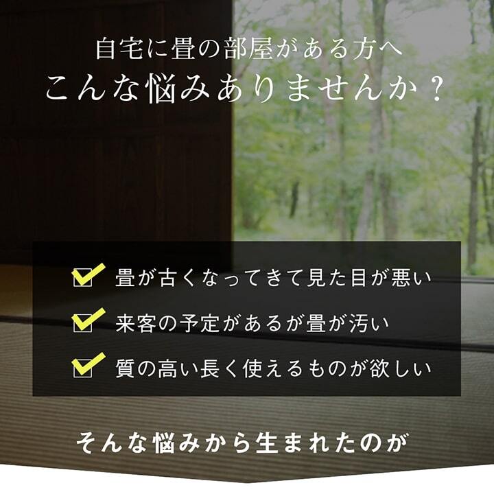 夏ラグ 夏用カーペット 純国産 い草 上敷き はっ水 カーペット 双目織 三六間3畳(約182×273cm）