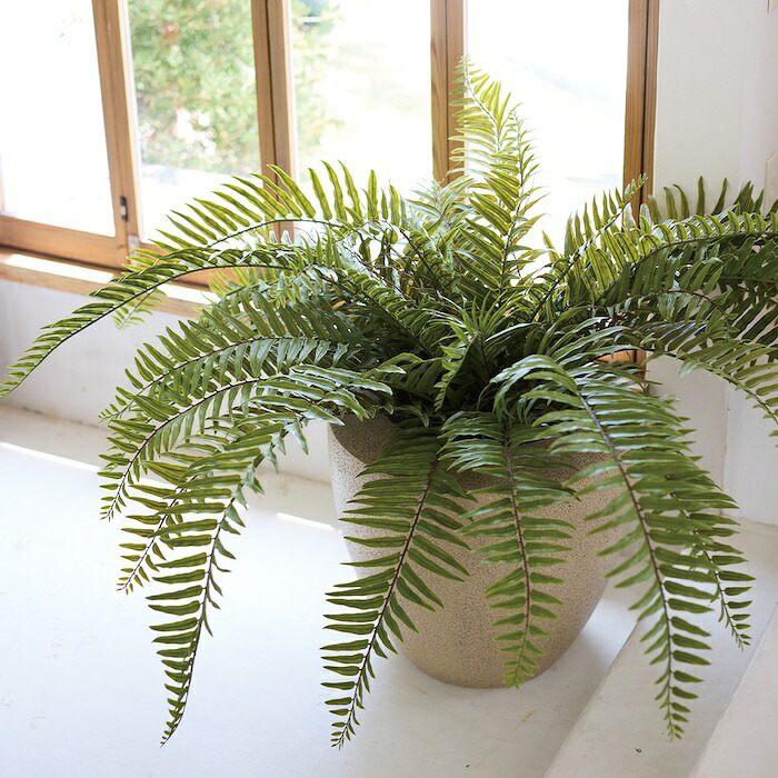 観葉植物 造花 ジャイアントソードファーン 枝垂れ BROWN 全高約70cm フェイクグリーン 高級 本物そっくり リアル おしゃれ 卓上 インテリア 人工観葉植物 アーティフィシャルグリーン シダ オフィス 店舗 開店祝い 室内 リビング 玄関 風水 ボストンファーン