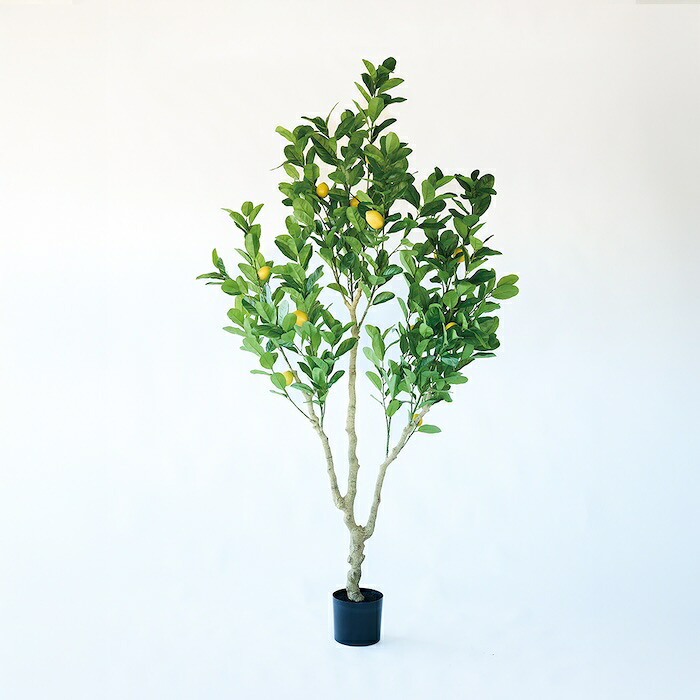 観葉植物 造花 レモンの木 BROWN 全高約220cm 大型 実付き フェイクグリーン 高級 本物そっくり リアル おしゃれ インテリア 人工観葉植物 アーティフィシャルグリーン シンボルツリー オフィス 店舗 カフェ 開店祝い 室内 リビング 玄関 風水 果樹 レモンツリー