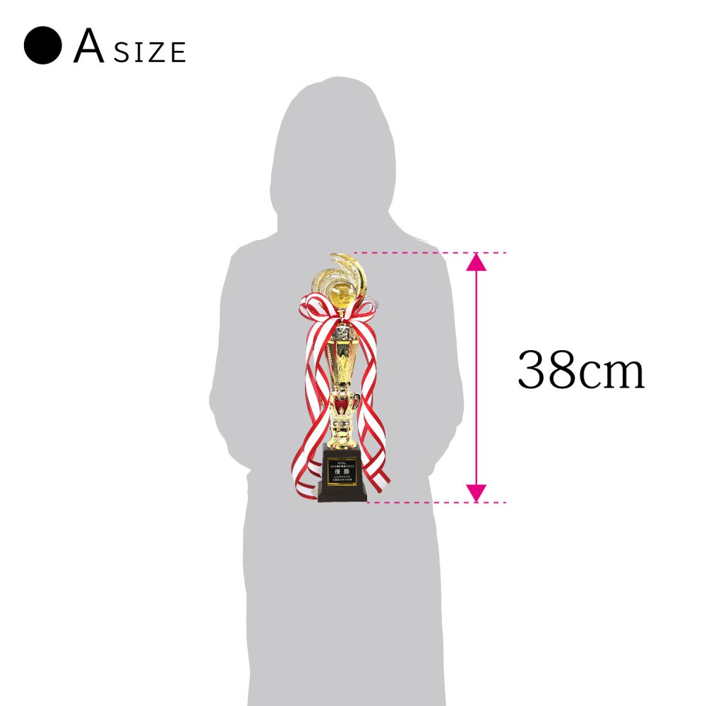 【名入無料】定番シリーズ！ トロフィー レッド 5サイズ 38～17cm 種目が選べる リボン 無料 卒団 卒業 ゴルフ 野球 サッカー バスケット 音符 バレー他 メダル